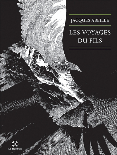 couverture du livre Les Voyages du fils